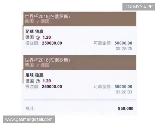 世界杯线上买球常见问题解答，帮助新手快速掌握投注流程与风险控制